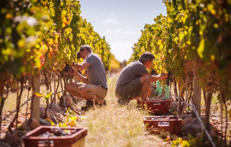 Pacote de viagem Mendoza Vale de Uco