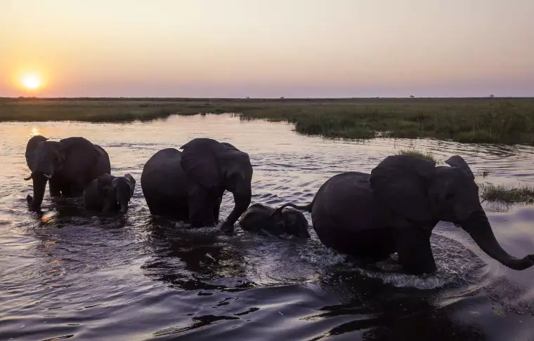 Pacote de viagem Botswana By Wilderness Safaris