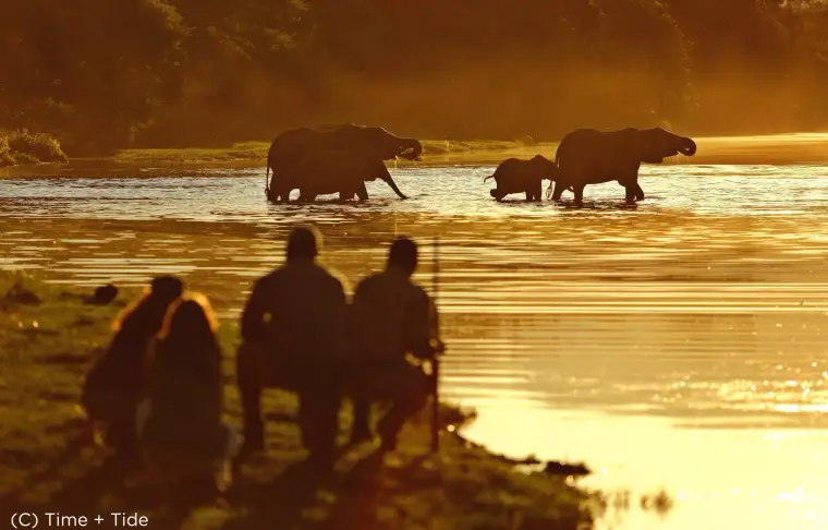 Pacote de viagem Safári na Zâmbia e Victoria Falls