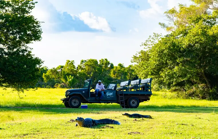 Pacote de viagem Pantanal em Família