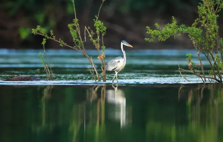 Pacote de viagem Lençóis Maranhenses e Amazônia