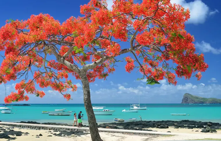 Pacote de viagem Ilhas Mauricio e África do Sul