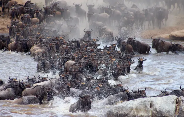 Pacote de viagem Serengeti Bushtops