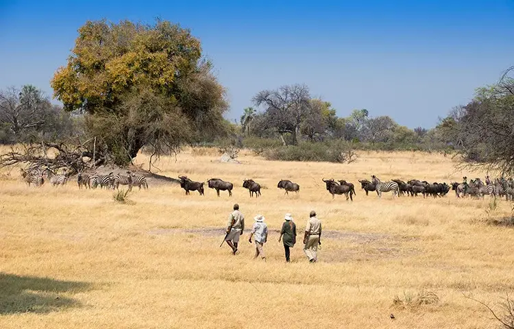 Pacote de viagem O melhor da África Austral Luxury