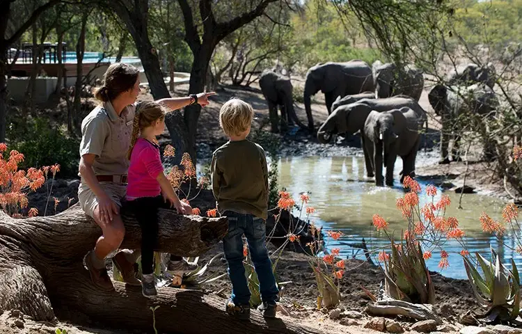 Pacote de viagem Safari Wild Child Adventure - Luxury