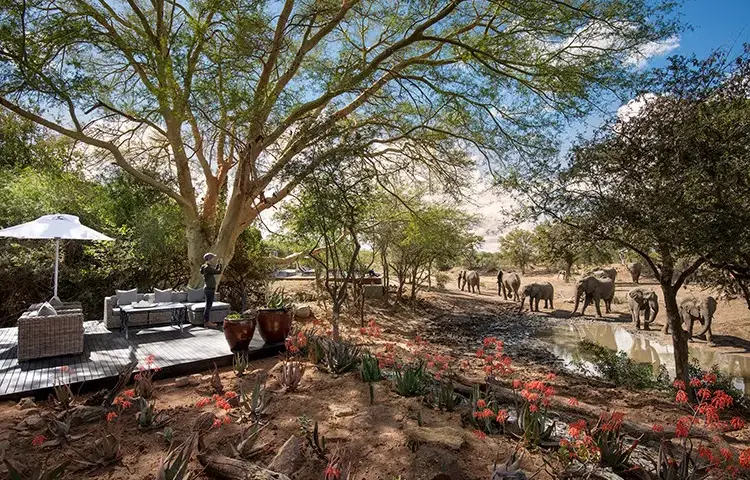 Pacote de viagem Grande Safari Luxury na África do Sul