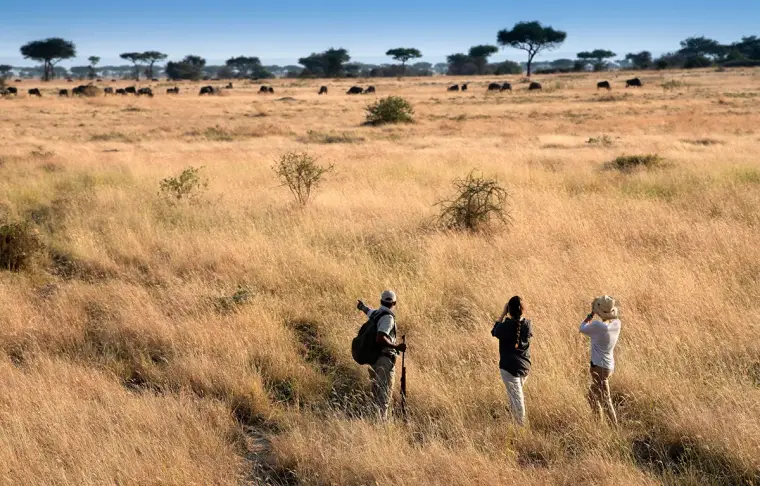 Pacote de viagem Safari África Oriental andBeyond
