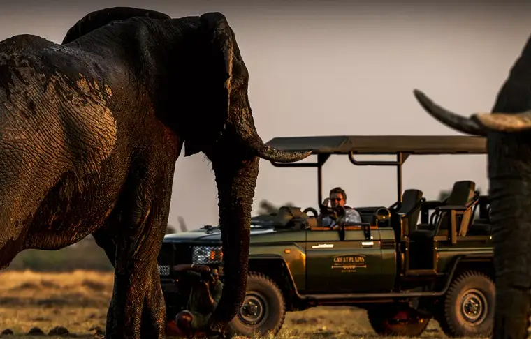Pacote de viagem Botswana by Great Plains Conservation
