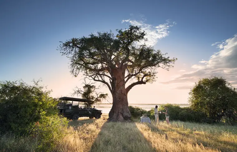 Pacote de viagem Zimbábue e Botswana Luxury com Victoria Falls & Highlights