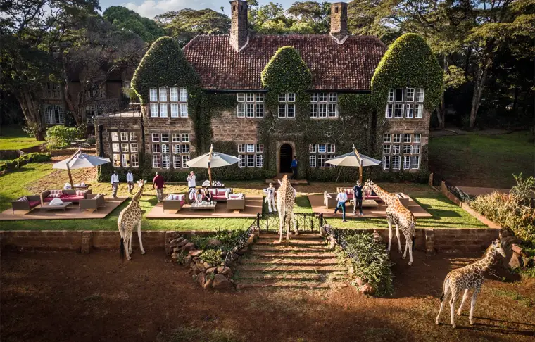 Pacote de viagem Deluxe Safari de Karibu Quênia