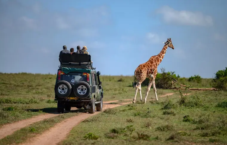 Pacote de viagem Aventura no Quênia ao Pôr do Sol em Solio Lodge