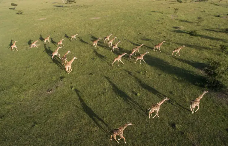 Pacote de viagem Tanzânia e Safári em 4x4 no Klein's Camp