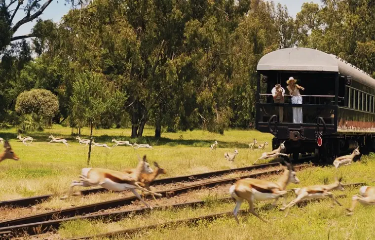 Pacote de viagem A bordo do Rovos Rail