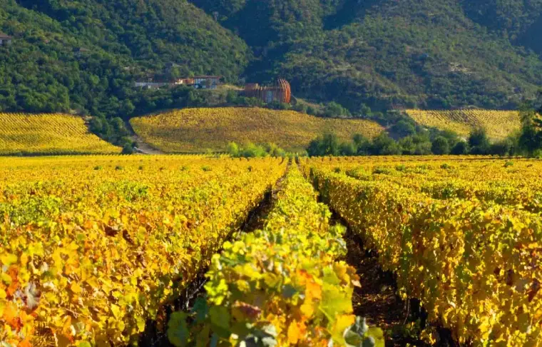 Pacote de viagem Vinícola Clos Apalta