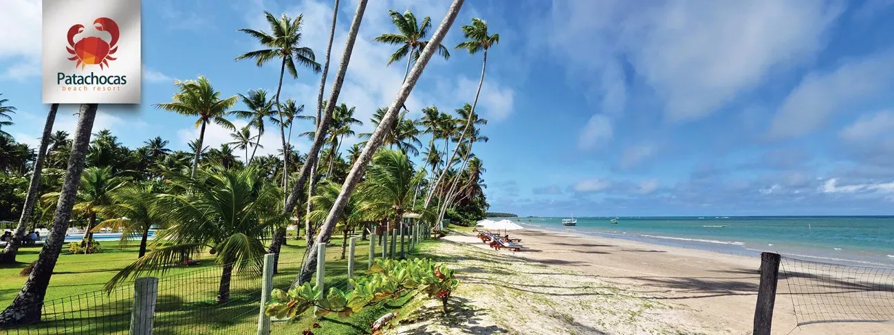 Patachocas Bahia