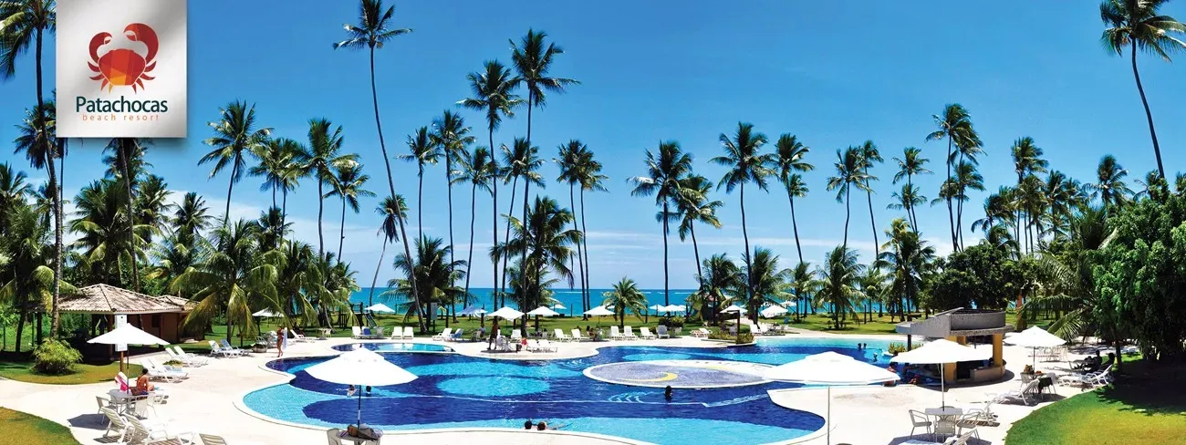 Patachocas Bahia