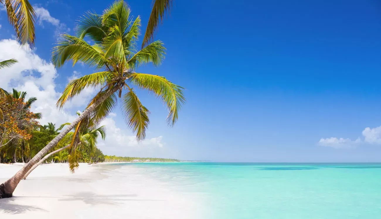 Tropical beach as a wild nature scenery in Punta Cana, Dominican Republic