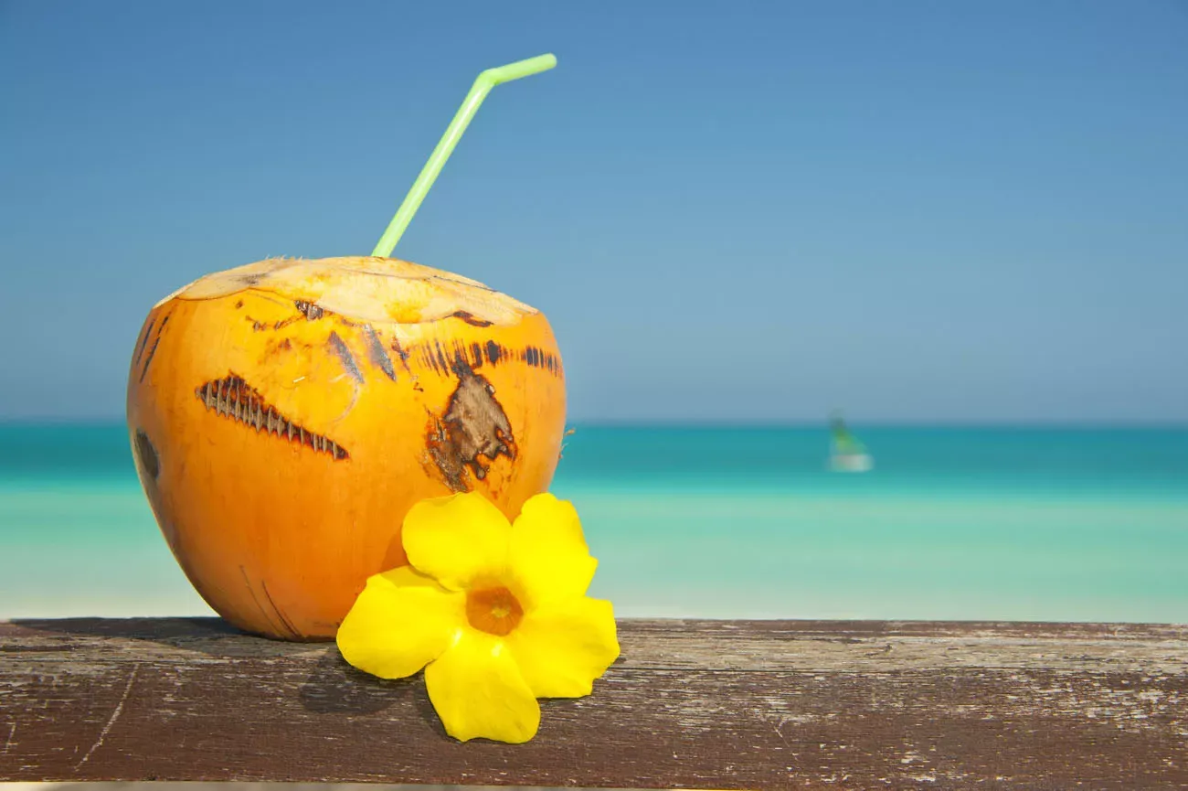 Pessoa em camelo no deserto