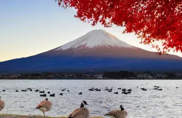 Pacote de viagem As Maravilhas do Japão
