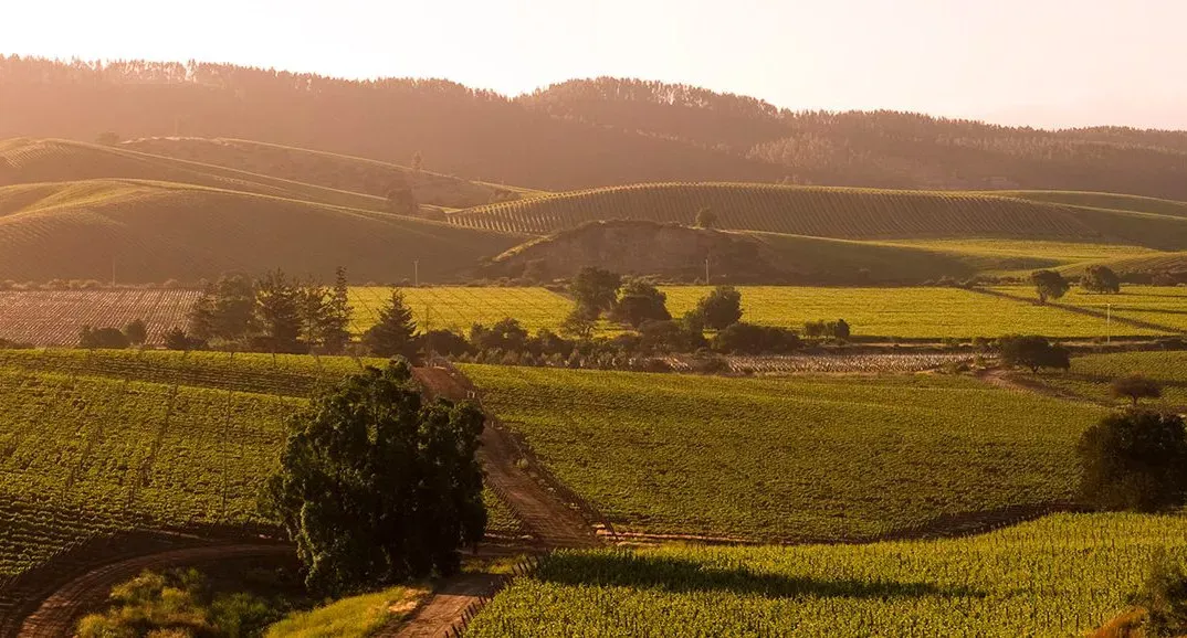 Casamento na Casas Del Bosque