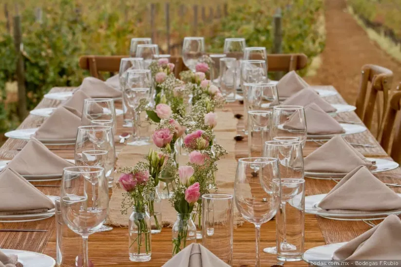 Casamento em Vinícolas