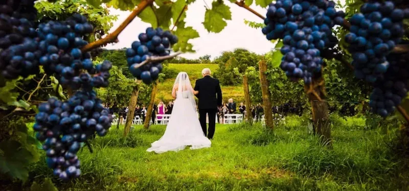 Destination Wedding em Vinícola na Argentina