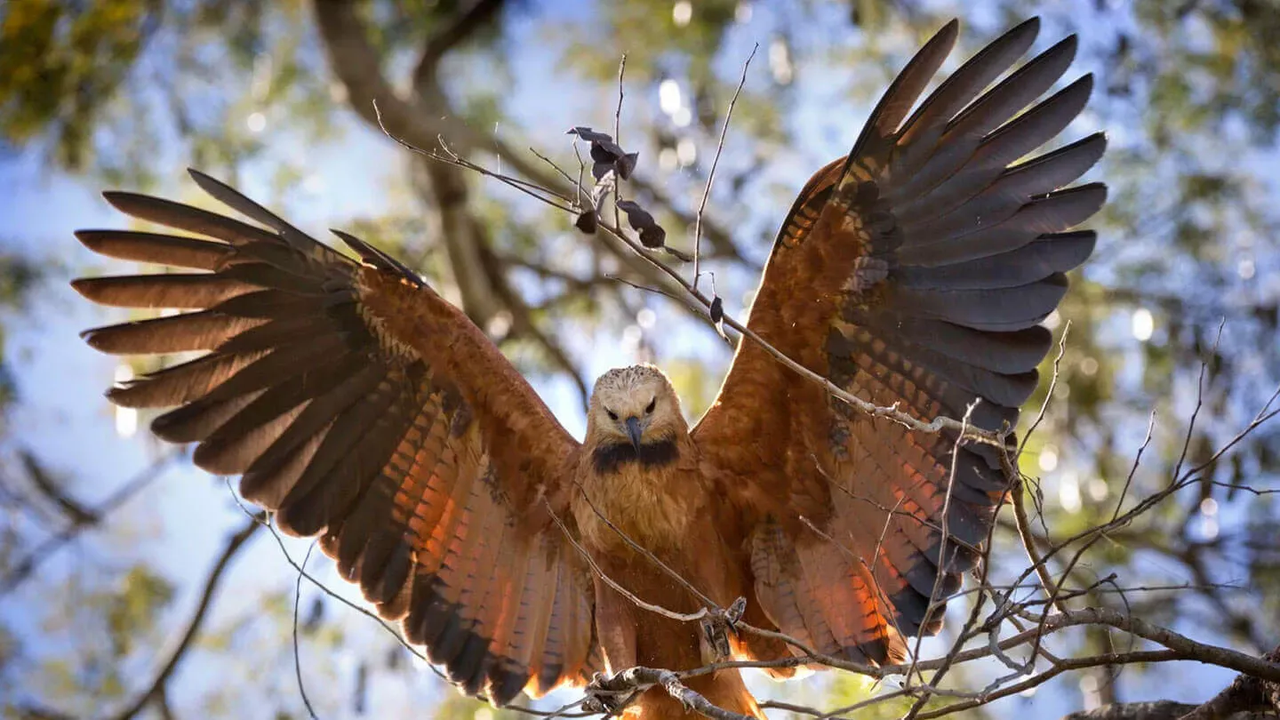 Pessoa em camelo no deserto
