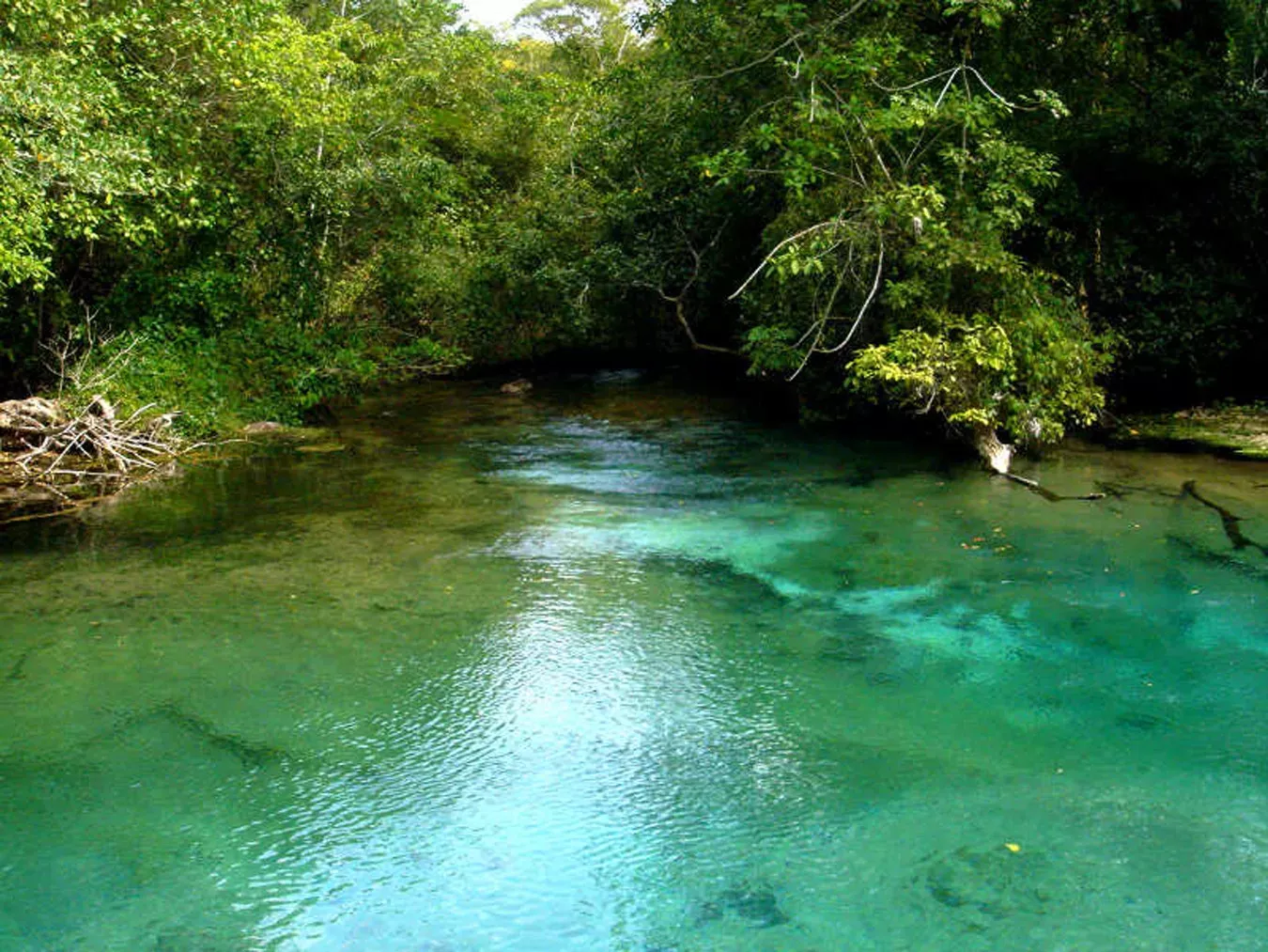 Pessoa em camelo no deserto