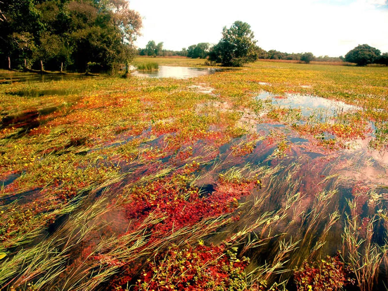 Pessoa em camelo no deserto