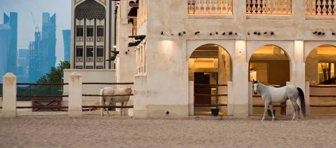 Pessoa em camelo no deserto