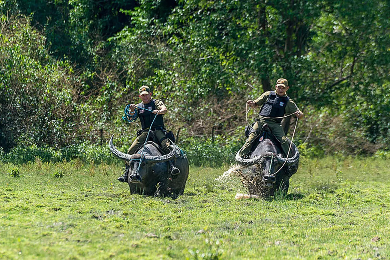 Pessoa em camelo no deserto