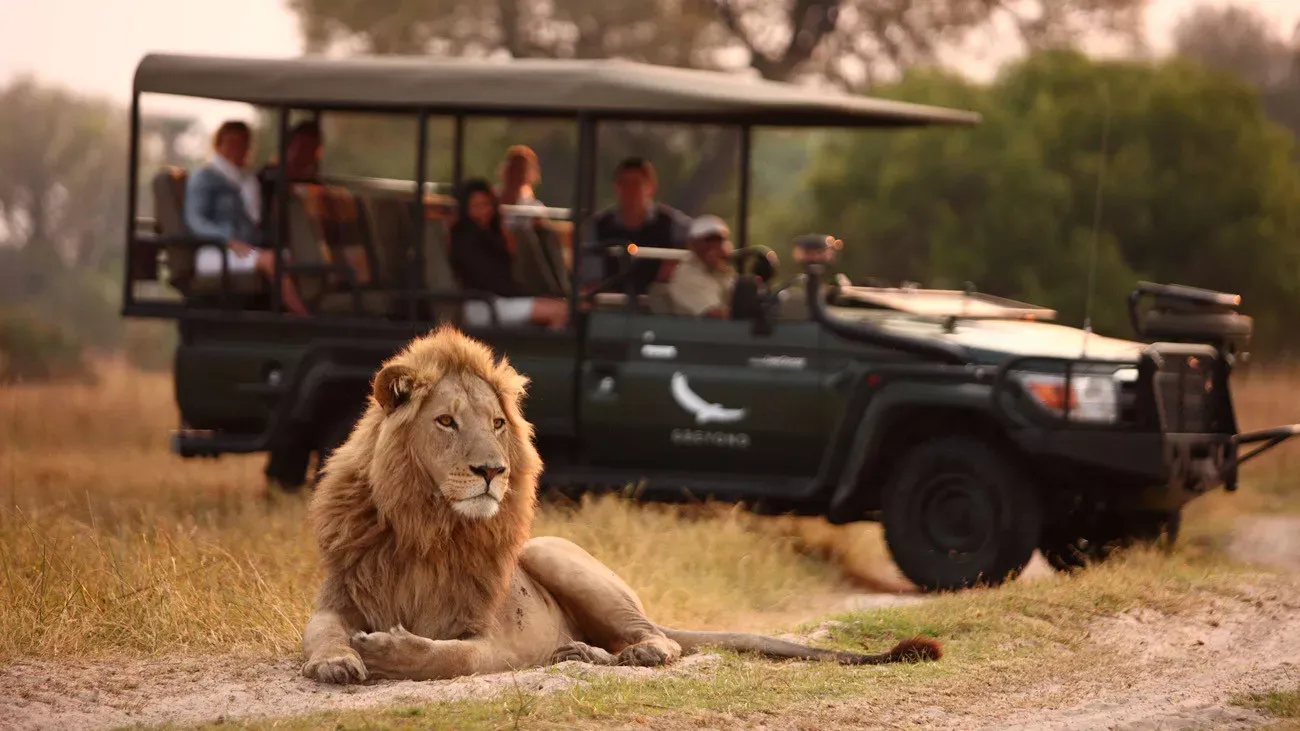 Botswana um Safári com Estilo