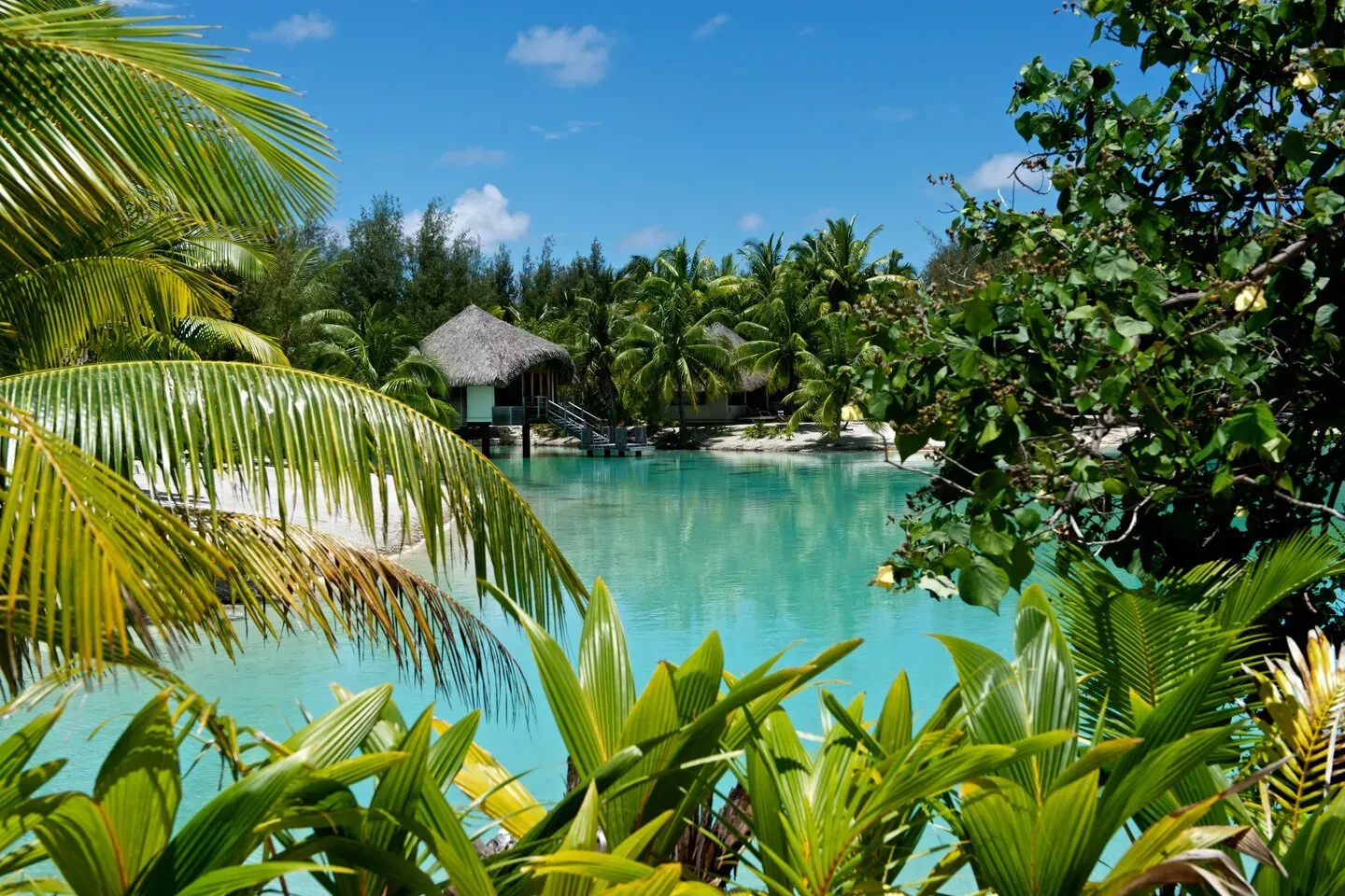 Bora Bora & Rangiroa