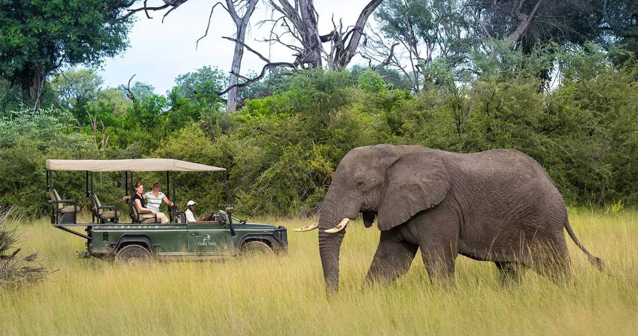 Botswana com Delta do Okavango e Reserva Moremi