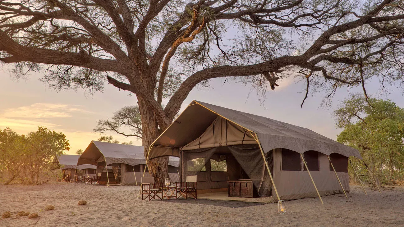 Botswana um Safári com Estilo