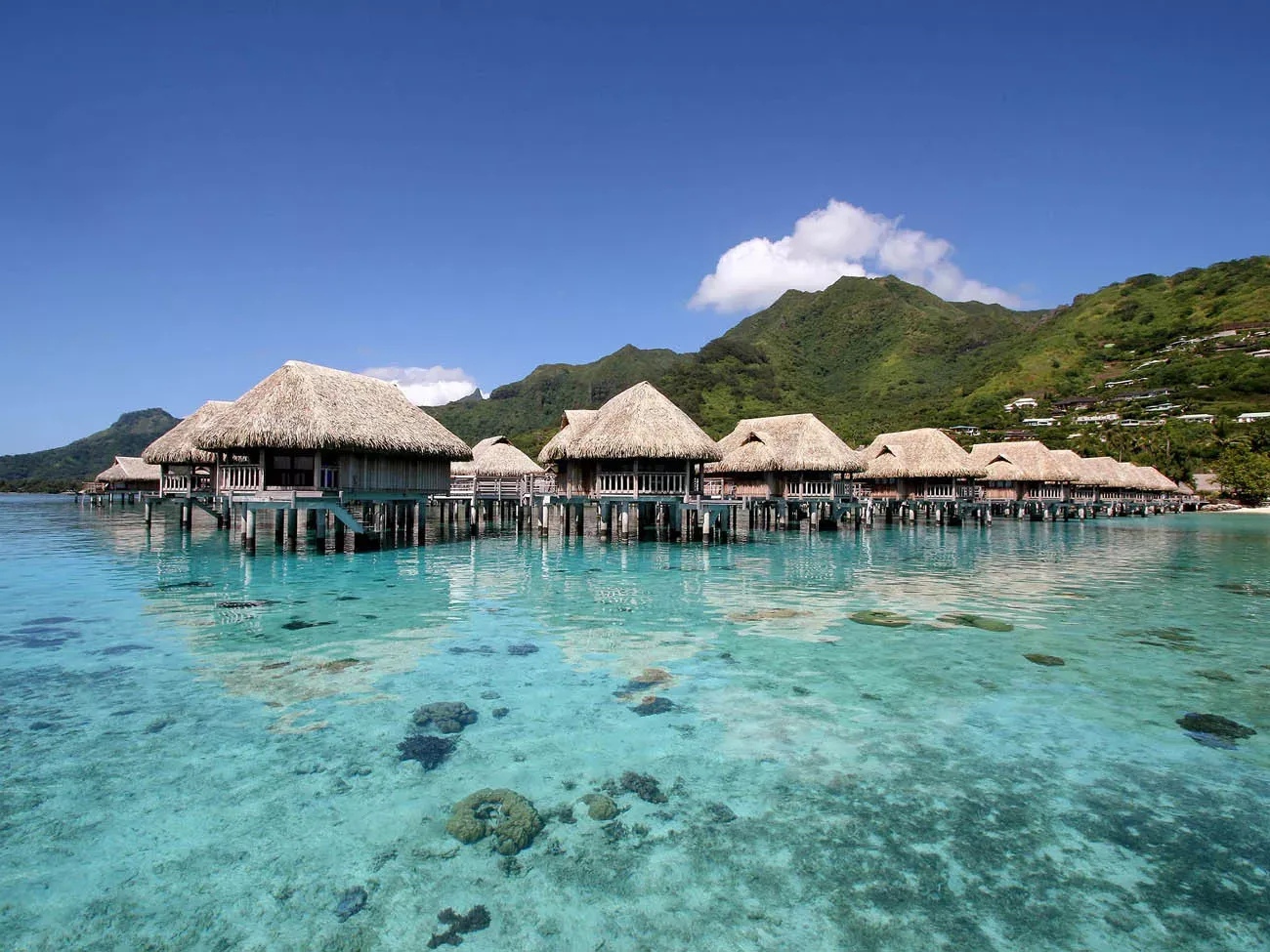 O Tahiti - Polinésia Francesa