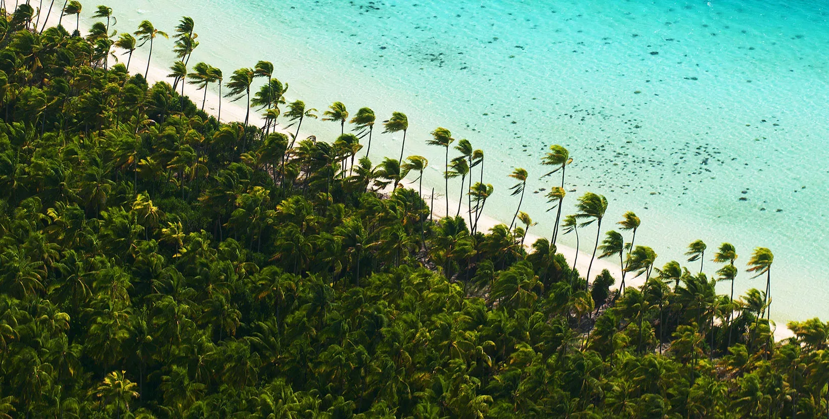 Bora Bora & Tetiaroa no The Brando