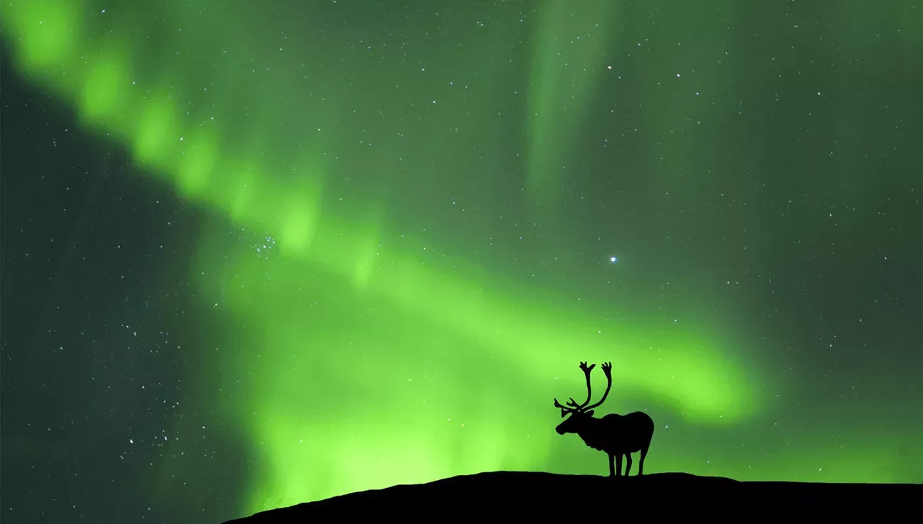 Canadá – Aurora Boreal