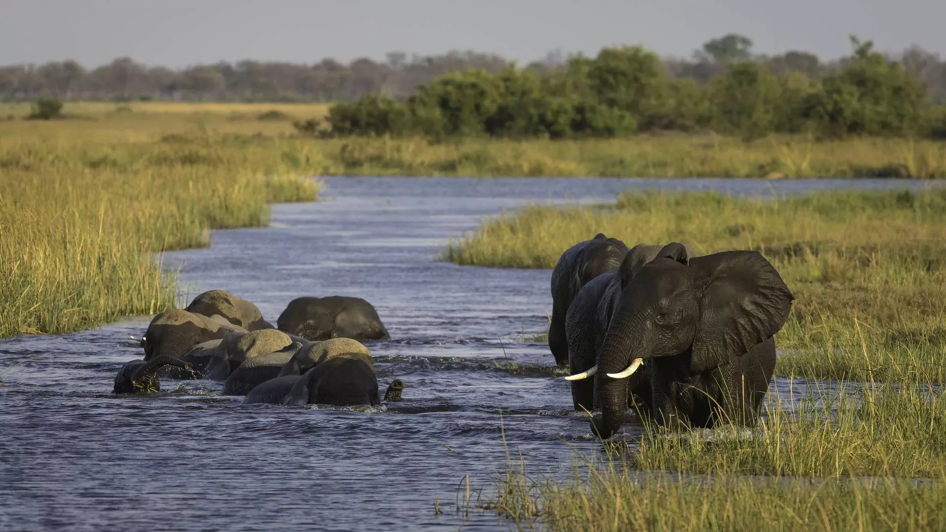 Botswana By Wilderness Safaris