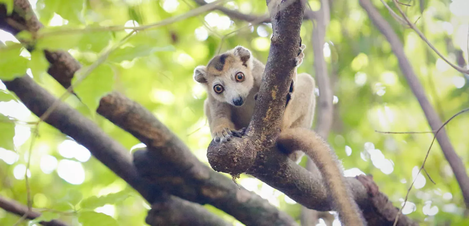 Pessoa em camelo no deserto
