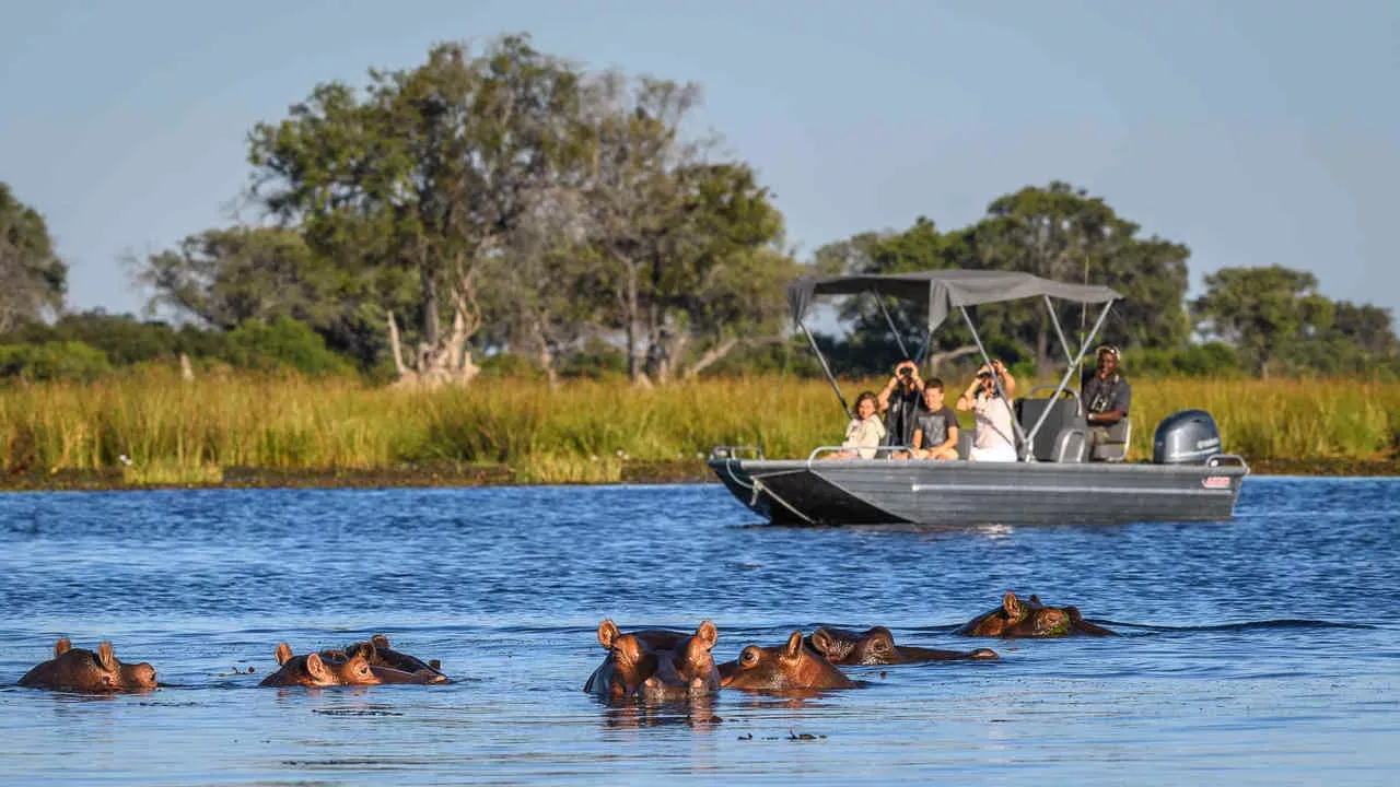 Botswana By Wilderness Safaris