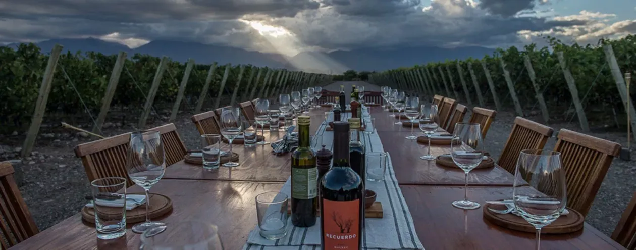Mendoza Experience