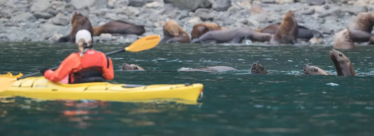 Seabourn Sojourn: Fiordes do Alasca e Canadá