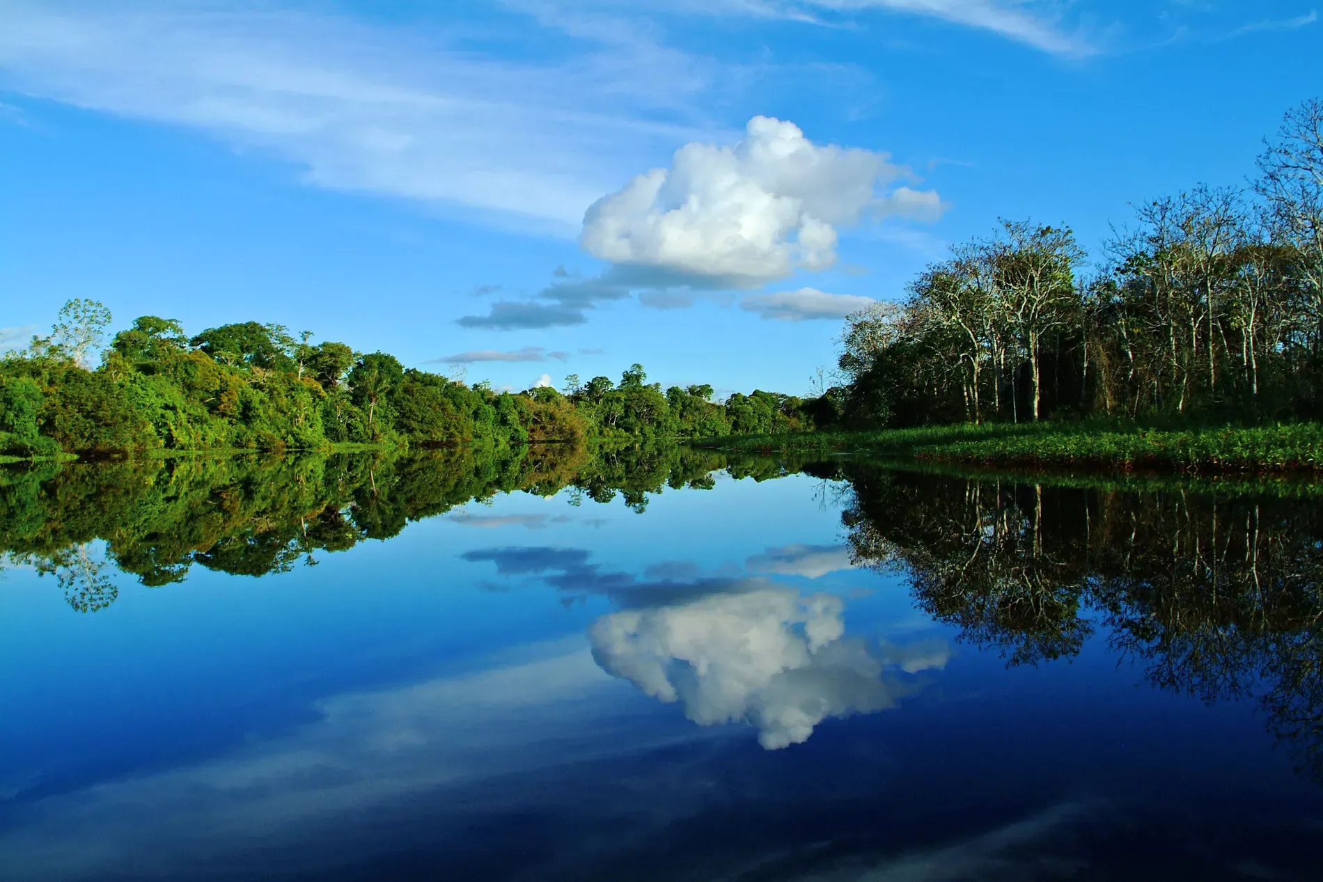 Aqua Expeditions Aria Amazon
