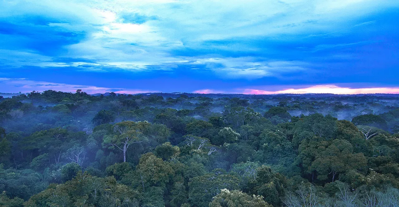 Conhecendo as belezas da Amazônia em Família