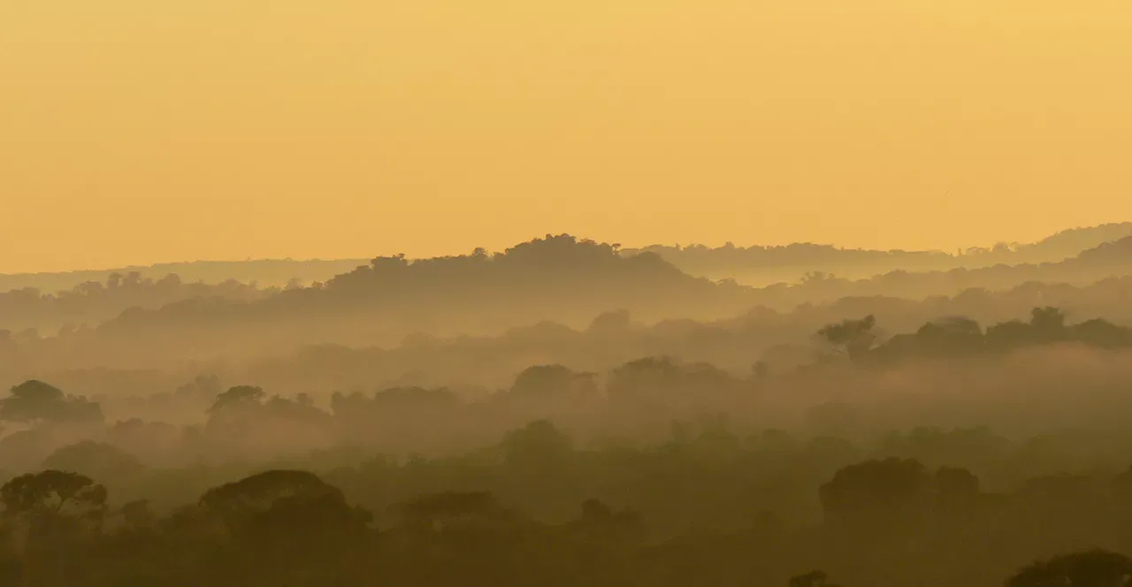 Conhecendo as belezas da Amazônia em Família