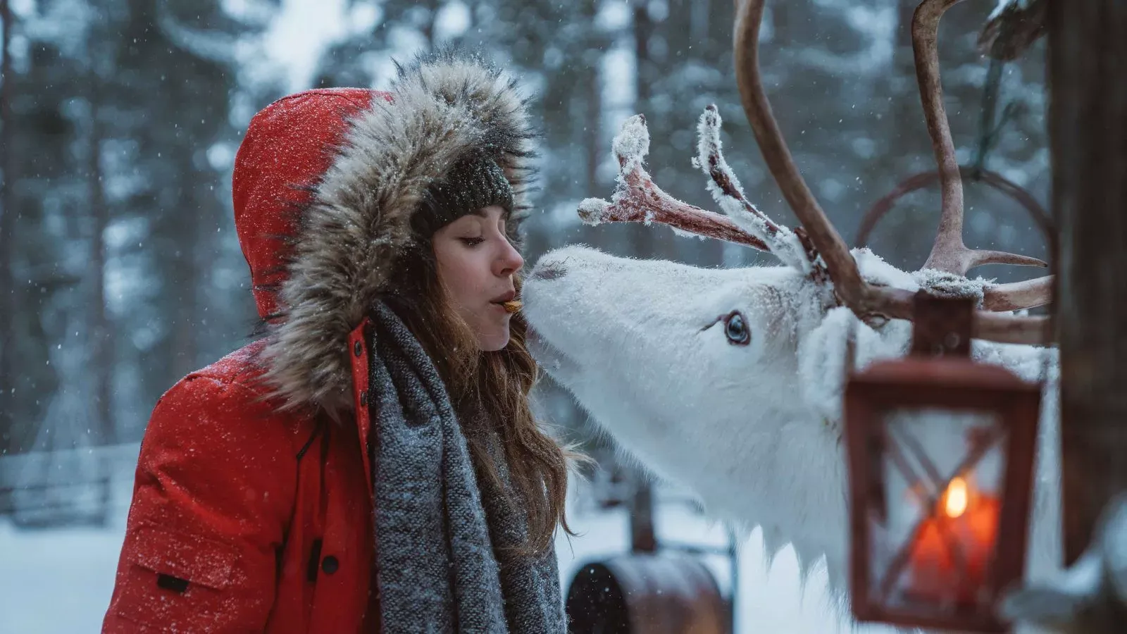 Pessoa em camelo no deserto