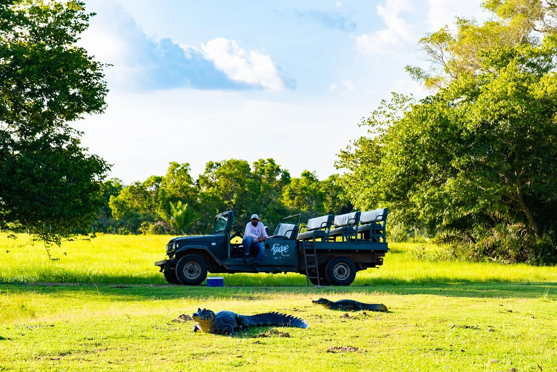 Pantanal em Família