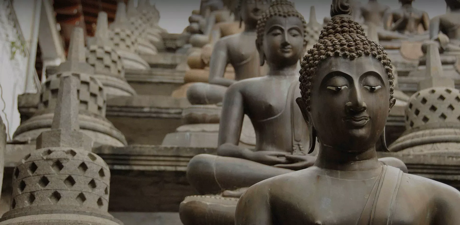 Pessoa em camelo no deserto