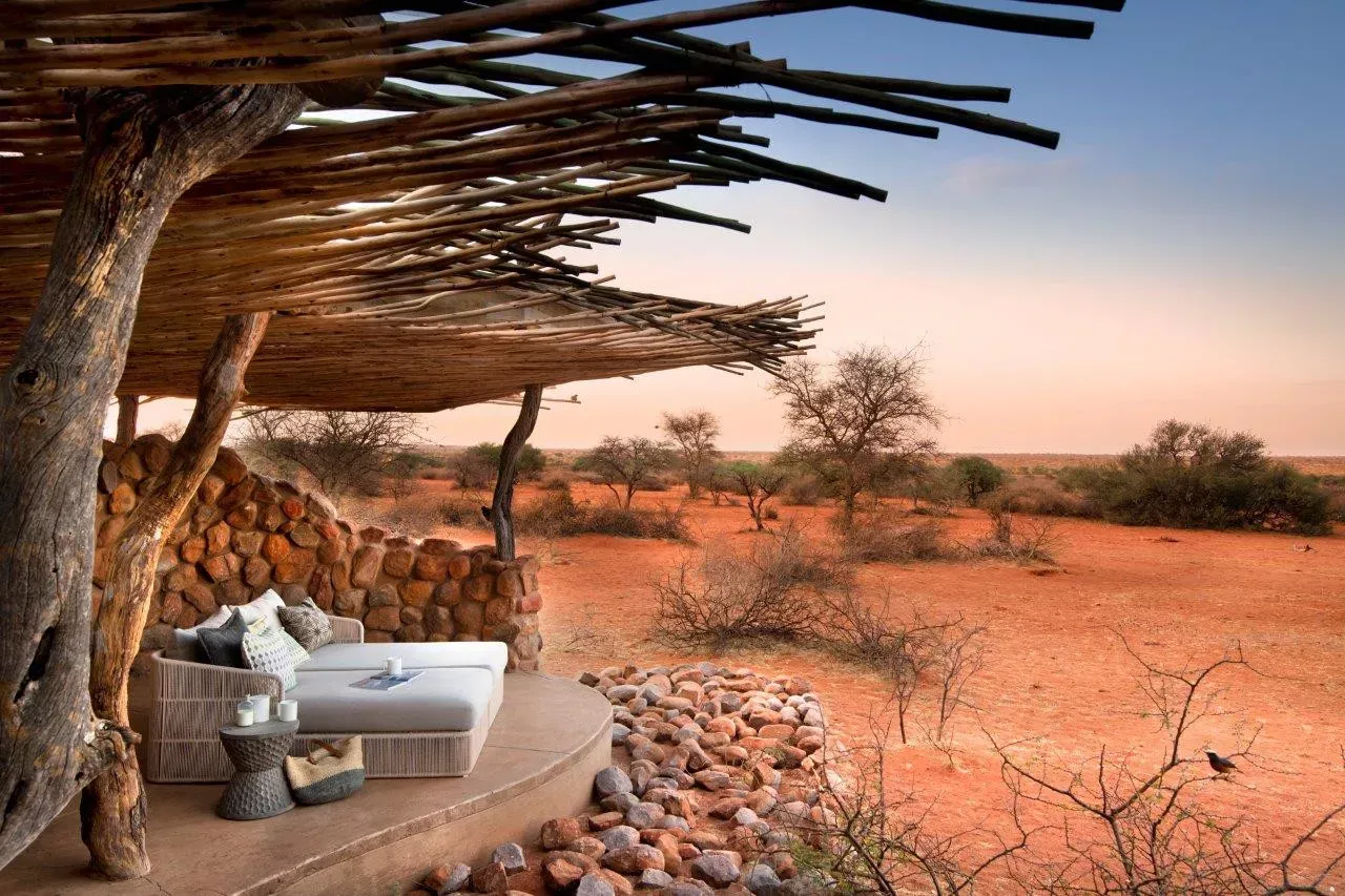Safári África do Sul e Kalahari